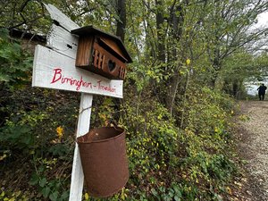 Niños que viven en los bosques y nunca han visto