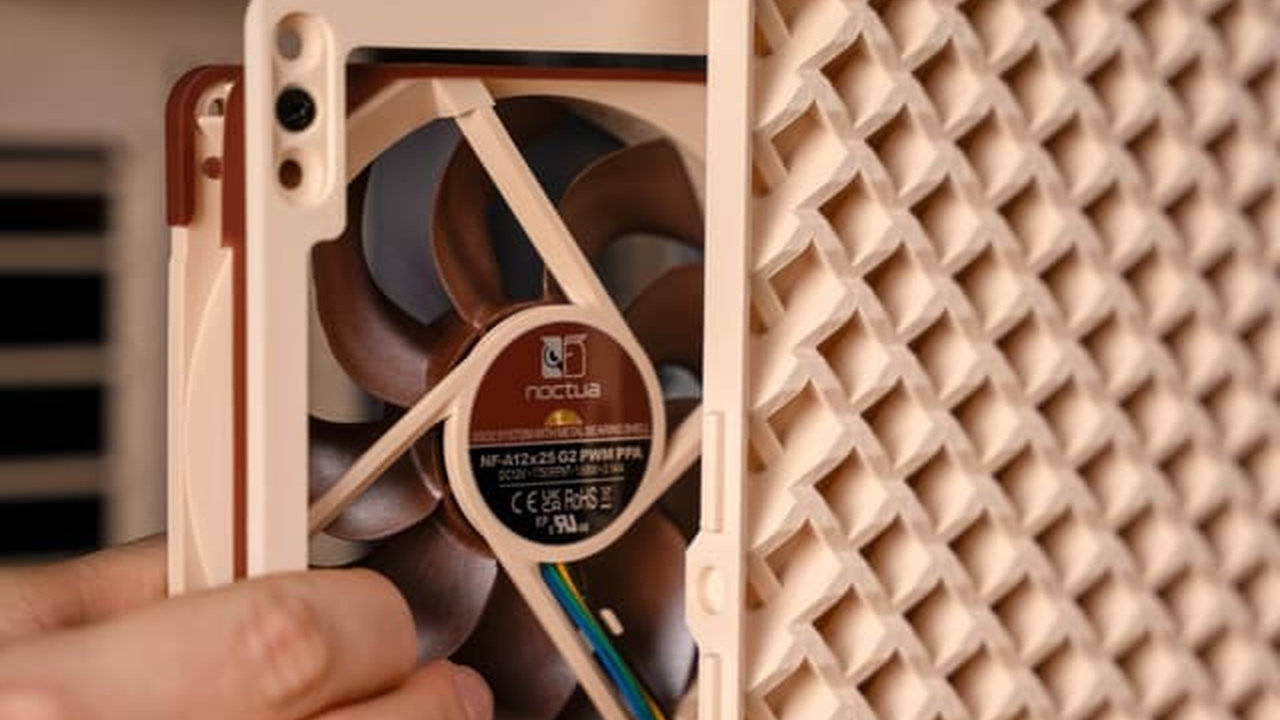 Noctua ama tanto su tonalidad "marronnasse" que favorece la impresión
