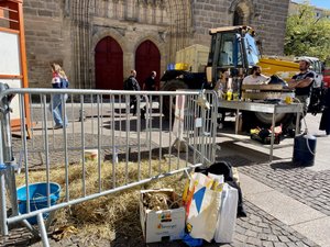 "On tue les fermes à petit feu": contra la dermatose