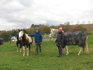 Pouze. La pensión de caballos se convierte en centro de