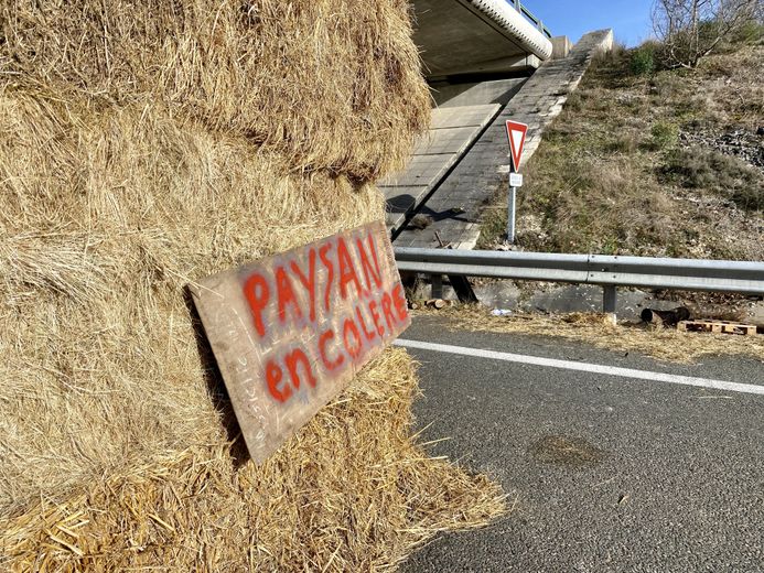 REPORTAJE. Indignación de los agricultores: "Hace tiempo que la olla