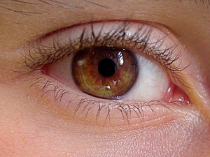 Su ojo se ha inflamado después de un simple resfriado: