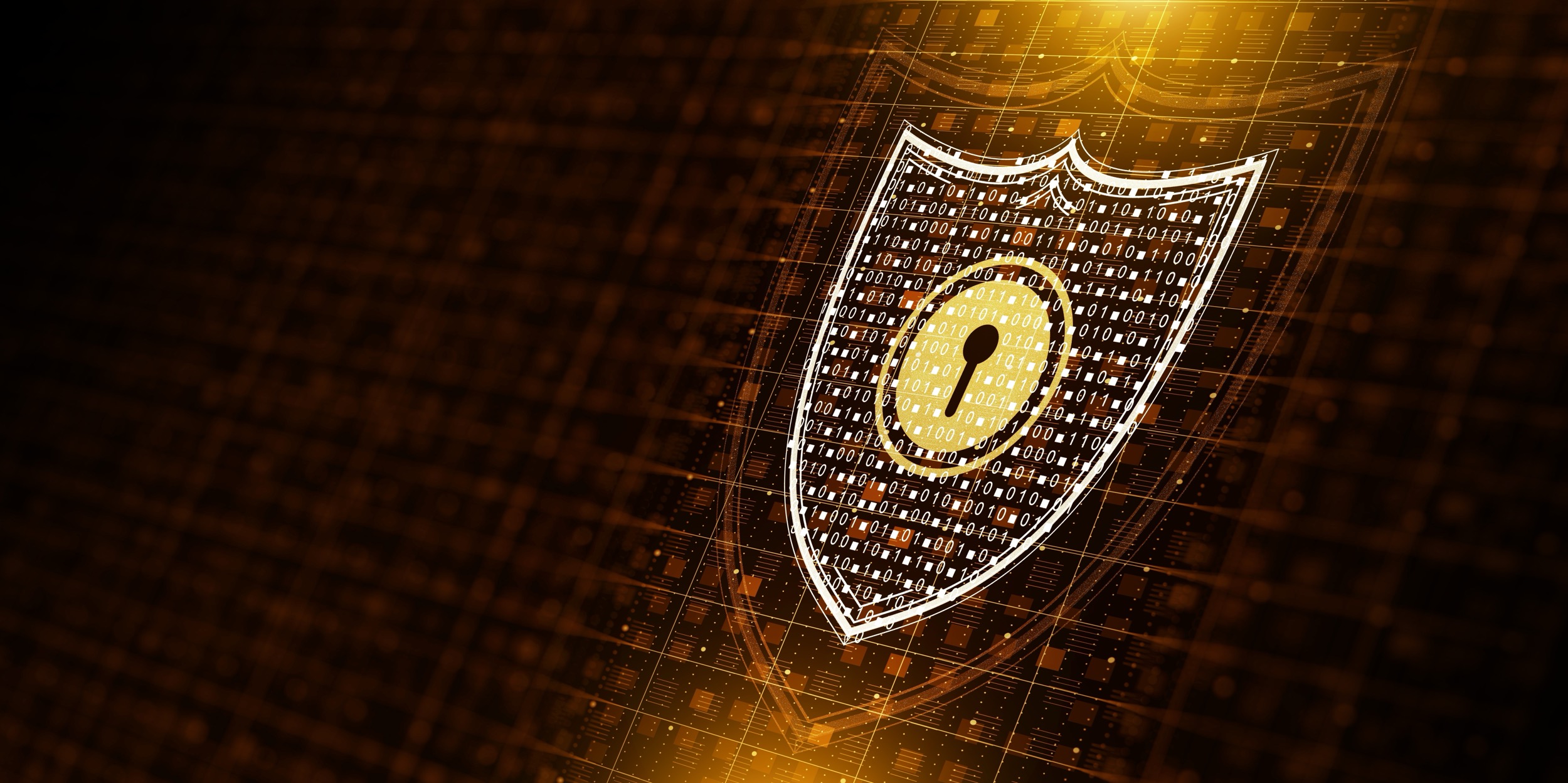 VPN logiciel, VPN en routeur ou dVPN: elige el modelo