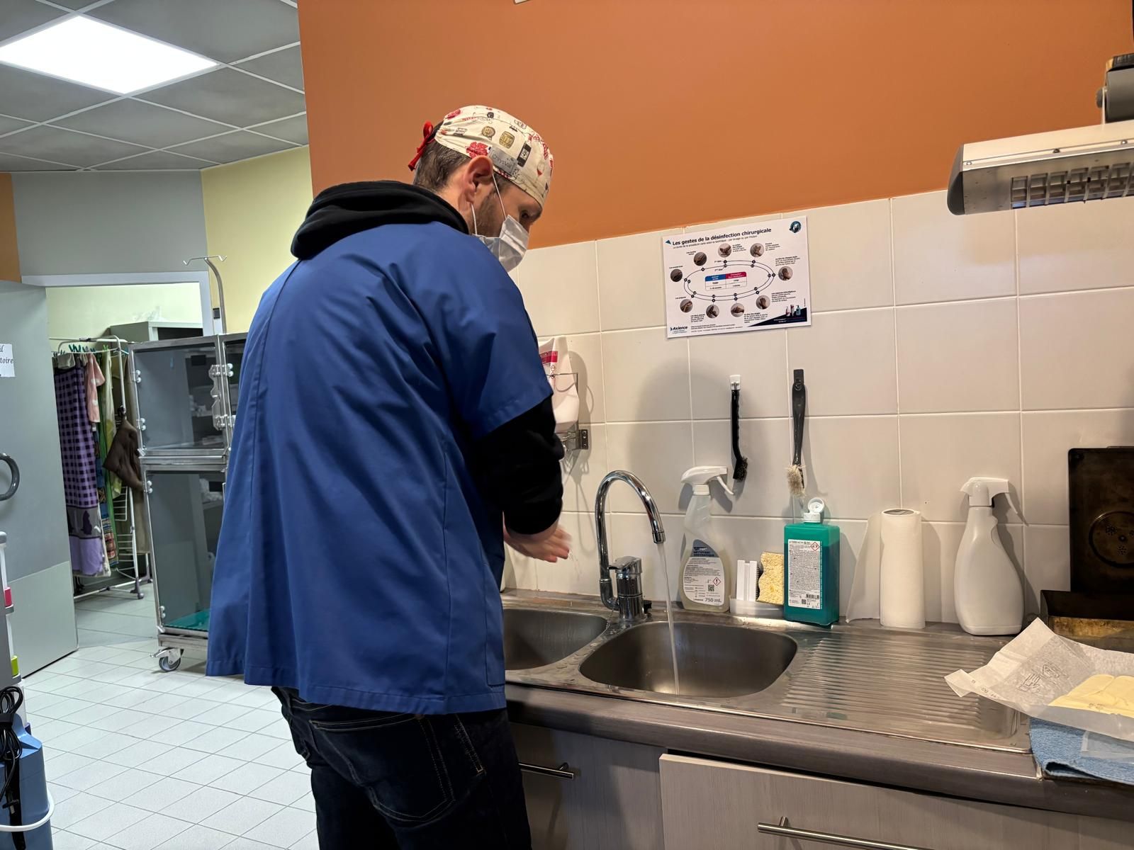 El veterinario se prepara para entrar al quirófano.