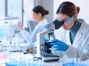 Amenaza biológica: Francia desarrolla un antídoto contra la ricina