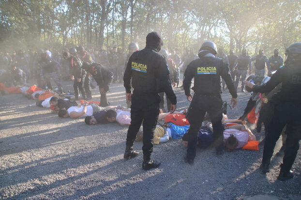 « Crinels de rodillas ante un Estado fuerte »: se