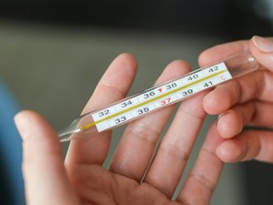 El pequeño no quería ir a la escuela: mete el