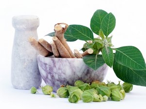 Fitoterapia: ¿qué pensar de la ashwagandha?