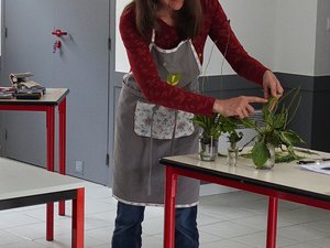 Villepinte. Los beneficios insospechados gracias a las plantas