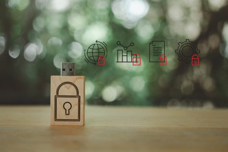 ¿Por qué prohibir los dispositivos extraíbles?