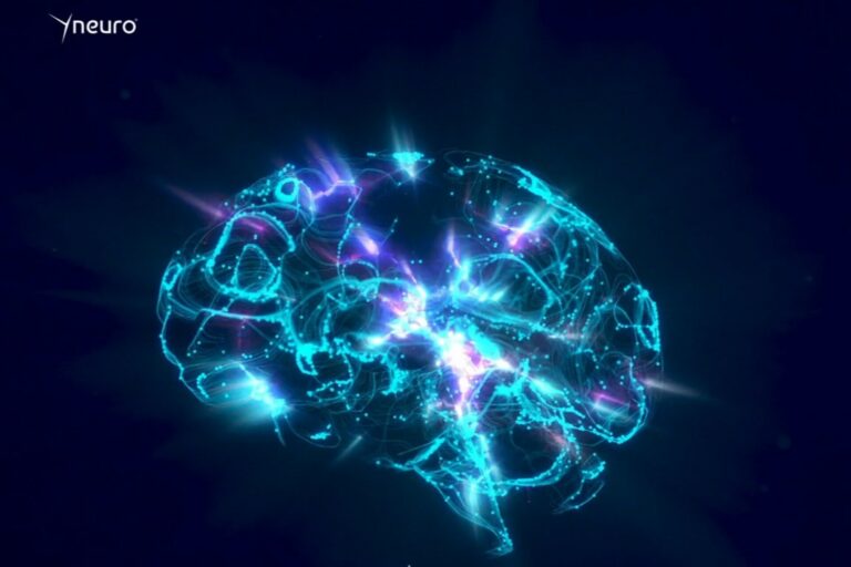 ¿Tu cerebro como contraseña? El francés Yneuro lanza la primera