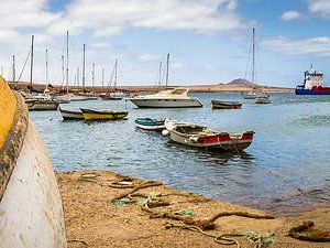 Agua contaminada y moscas alrededor de la comida: una epidemia