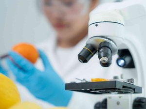 Contaminantes alimentarios: a pesar de las mejoras, niveles de exposición