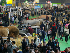 DESCIFRANDO. Salón de la agricultura: sin vacas y en plena