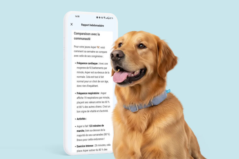 El nuevo collar francés que detecta las enfermedades de tu
