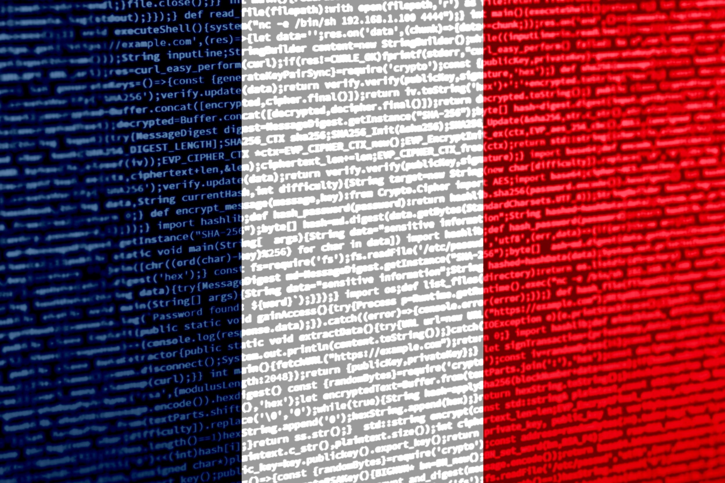 La French Tech debe ser prioritaria en las compras digitales
