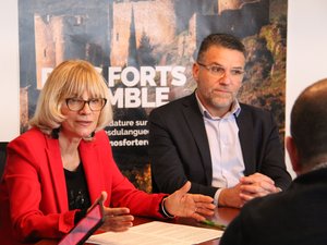 Ocho becerros comprados y servidos a los colegiales