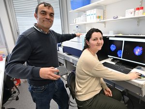 Predecir mejor la toxicidad sin pruebas en animales: gracias a