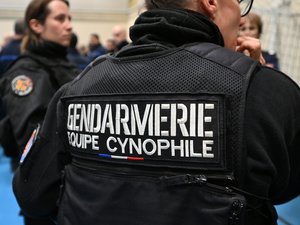 Treinta gendarmes movilizados, cinco consumidores detenidos… La lucha contra el