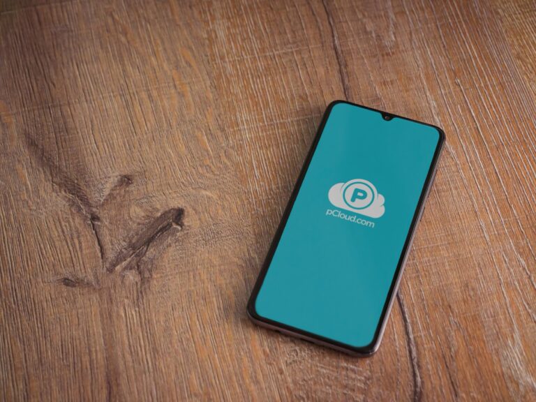 pCloud lanza una investigación tras reportes extraños