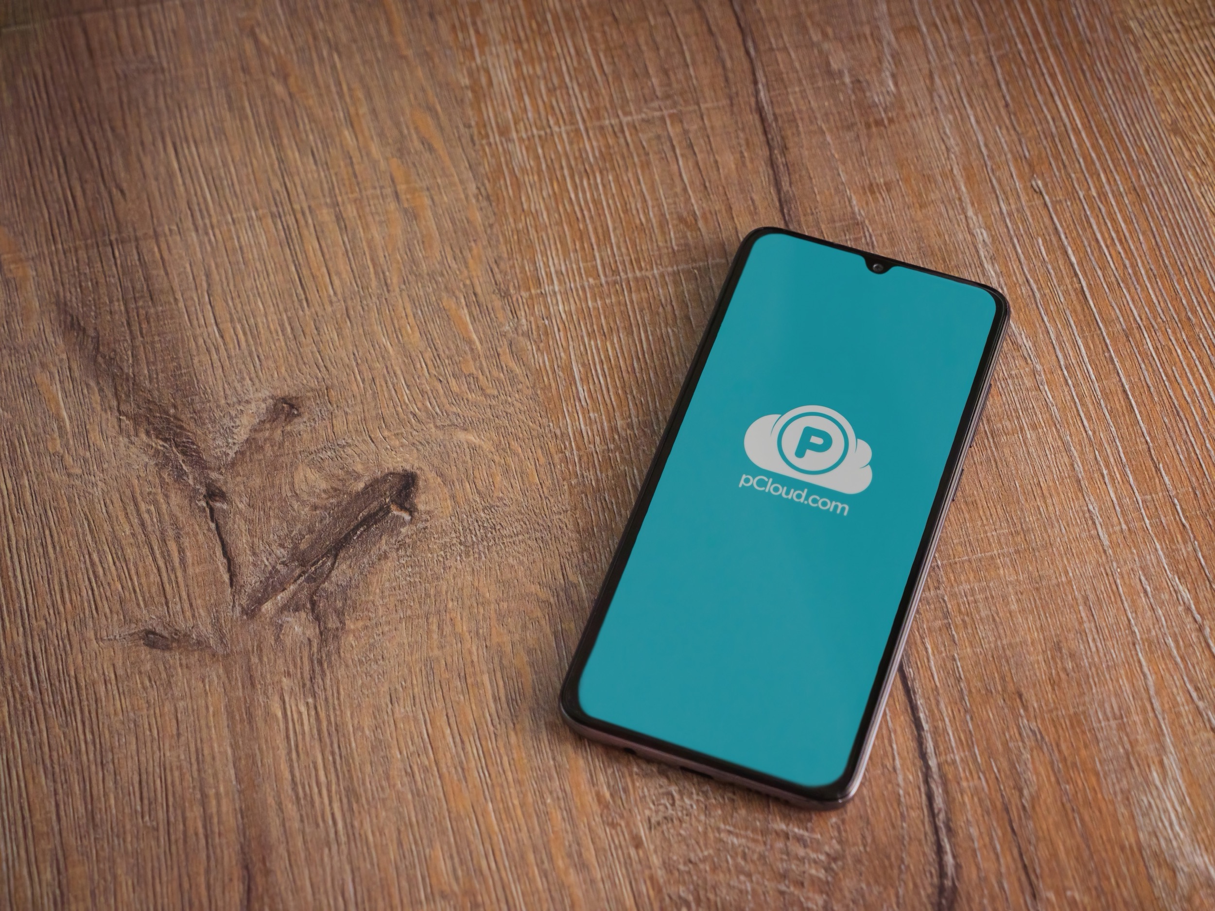 pCloud lanza una investigación tras reportes extraños