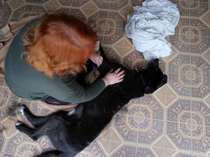 Jornadas del bienestar animal: "Tomar conciencia de la importancia de