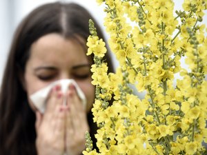 "Desde que estoy aquí siento mucho mi alergia": los polen