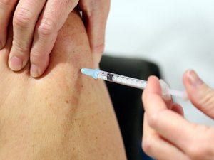 Enfermedad de Lyme: la vacuna Pfizer-Valneva muestra un 70 %