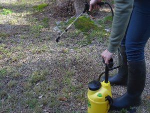 "Utilizado cerca de una escuela": 12 litros y 5 kg