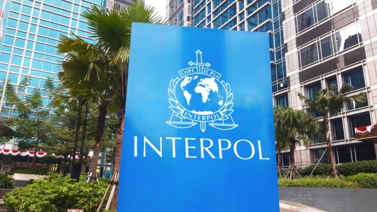94 ciberdelincuentes arrestados durante la operación Synergia III de Interpol