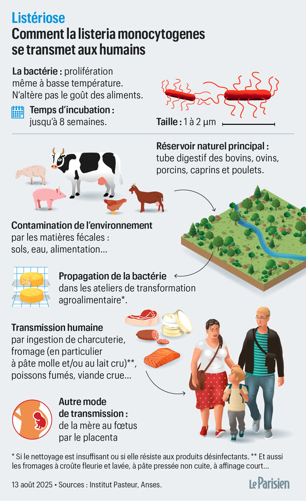 Doce casos de listeriosis, dos mortales: ¿cuáles son los productos
