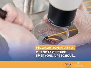 Fecundación in vitro: cuando la cultura embrionaria falla... (Vídeo)