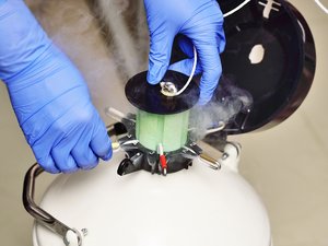 Fertilidad: 5 ideas erróneas sobre la autoconservación de ovocitos