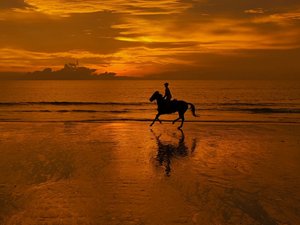 La turista se cae fuertemente de un pony en Tailandia,