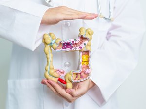 ¿Qué órganos no tienen función o casi nada?