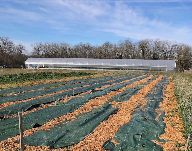 Reconversión agrícola: la Ferme de la Vie convierte lo orgánico