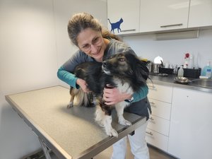"Mi profesión me ha ayudado a seguir adelante": esta veterinaria