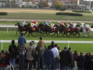 Domingo, el Quinté se invita a Toulouse para un día