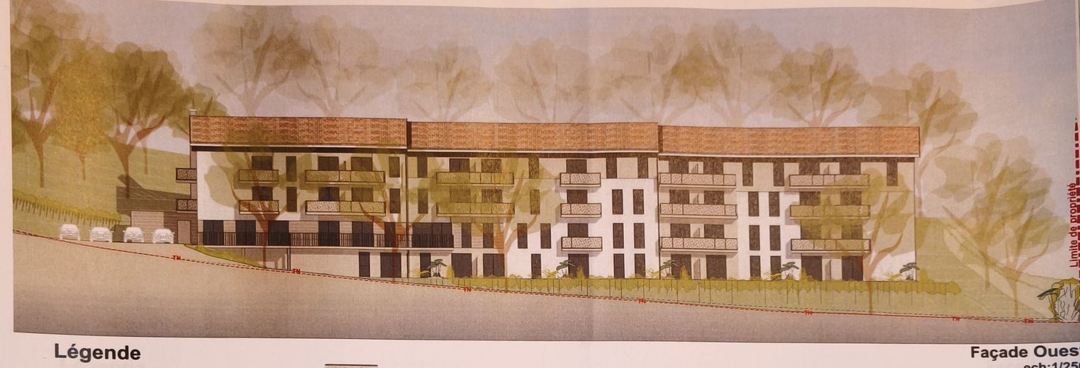 "Ce serait une petite catastrophe"… ¿Cuál es este proyecto inmobiliario