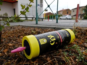 Cerca de Toulouse, el ayuntamiento de Fonsorbes emite un decreto