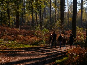 "Cuidar de quienes nos cuidan": el programa de un parque
