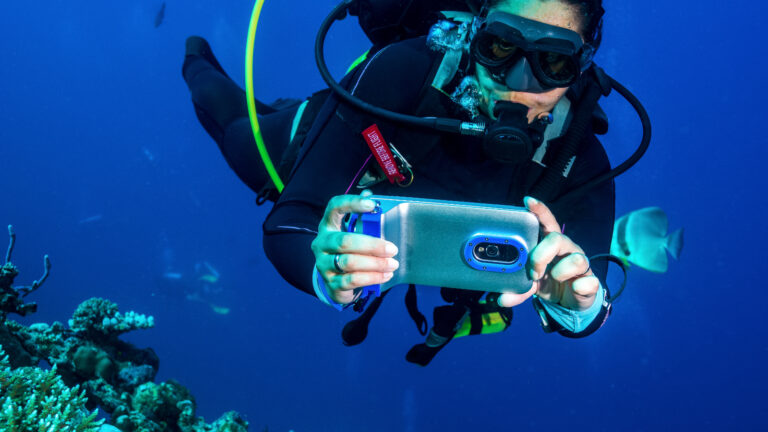 El secreto para fotos submarinas perfectas (y la trampa a