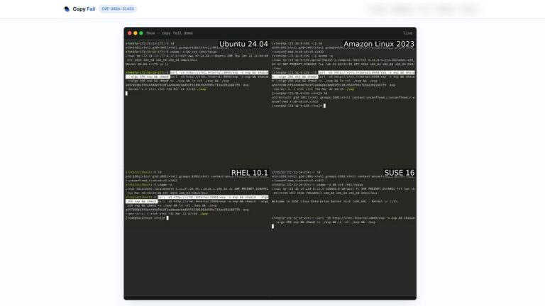 Error de Copia: la falla impensable de Linux de 9