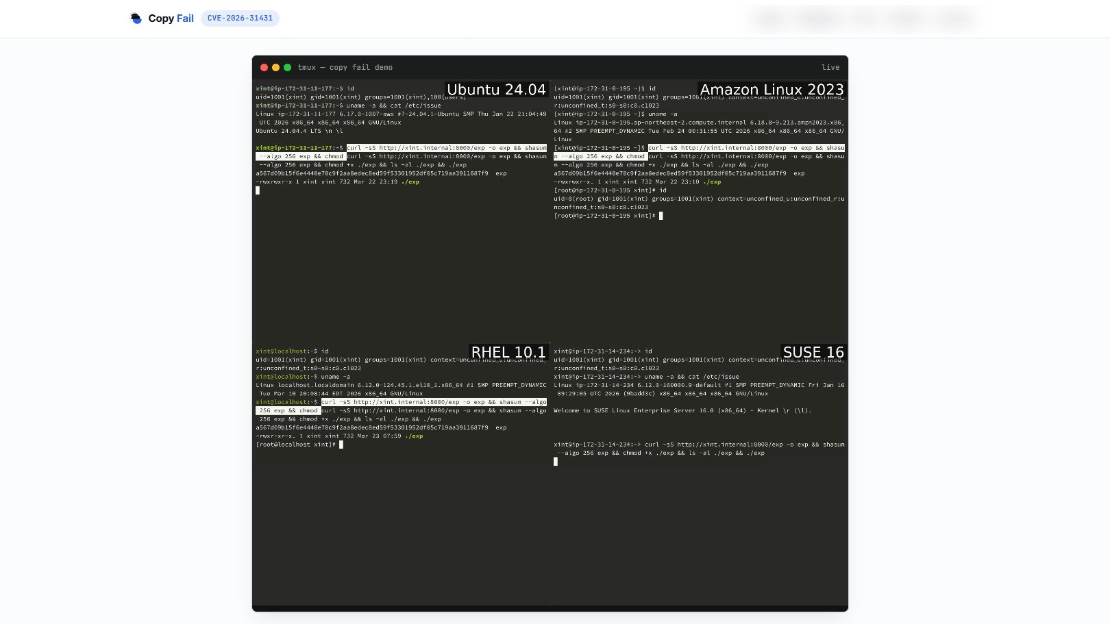 Error de Copia: la falla impensable de Linux de 9