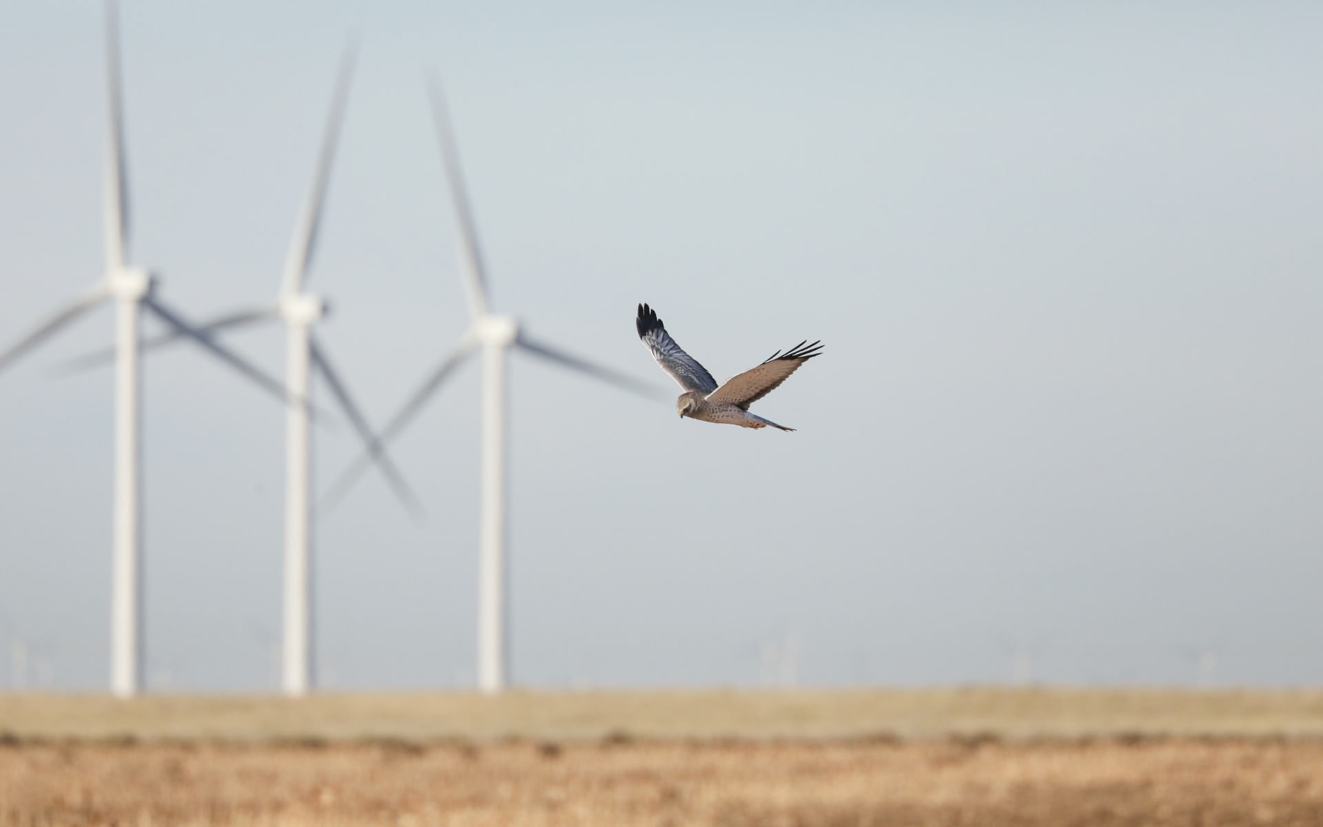 La IA corrige un prejuicio tenaz, TotalEnergies ya la utiliza