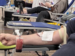 Léguevin. Sang: 174 donantes en el encuentro de la solidaridad