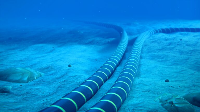 ¿Los cables submarinos franceses amenazados por la ecología? El grito