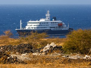 Hantavirus en un barco de crucero: "Todo lo que queremos