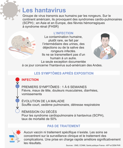 Vacuna contra el hantavirus: por qué aún no existe ni