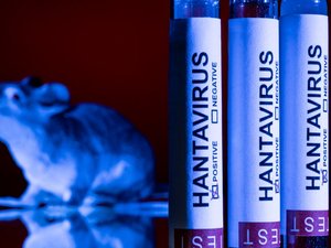 Hantavirus en un barco de crucero: superpropagación, tasa de mortalidad,